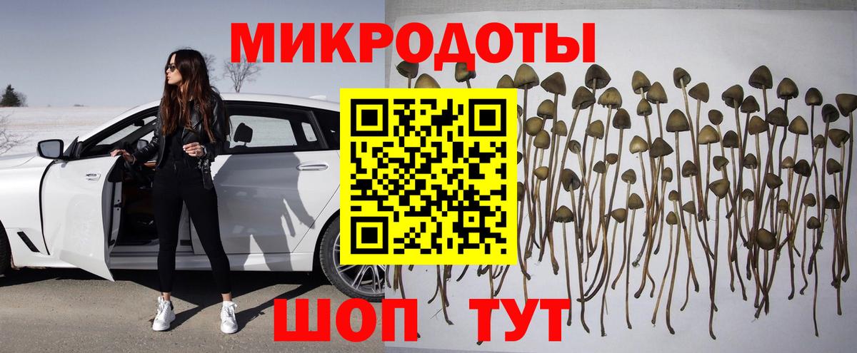 Псилоцибиновые грибы Psilocybine cubensis Чусовой