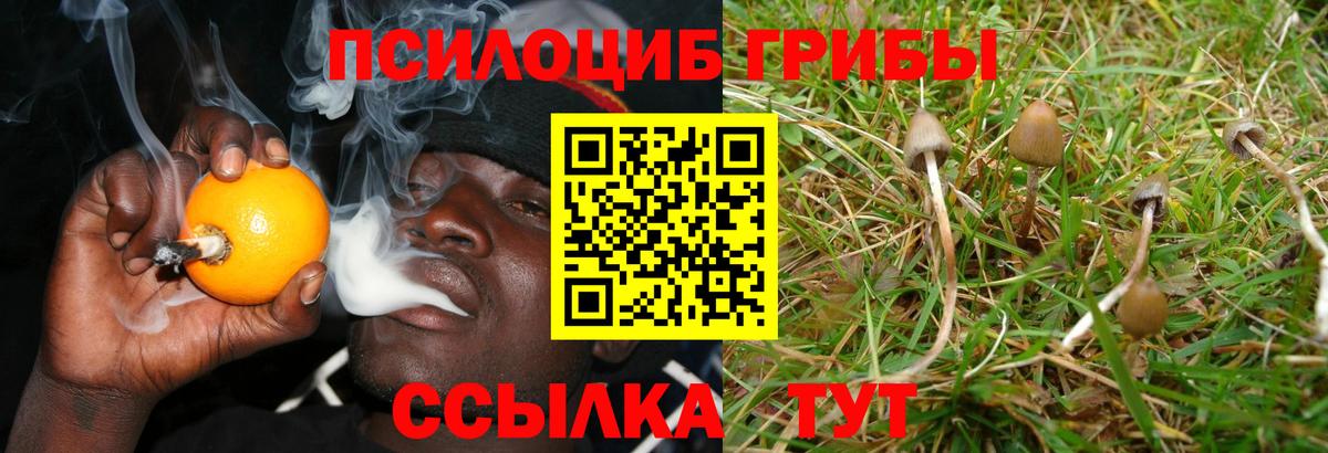 Чусовой  Псилоцибиновые грибы мухоморы  Псилоцибиновые грибы мицелий  Вход с VPN 